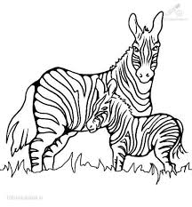 Maybe you would like to learn more about one of these? Chipmunk Drawing Baby Mother Google Search Zebra Coloring Pages Zebra Art Zebra Art Abstract
