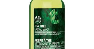 Tea Tree Hautklarendes Waschgel Body Shop Tea Tree The Body Shop Korper Akne