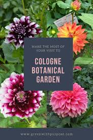 9 Things You Should Know Before You Visit The Botanical Garden In Cologne Botanical Gardens Botanical Planting Flowers