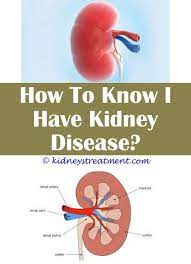 Reverse Kidney Disease Kidney Infection Kidney Disease Symptoms Kidney Disease