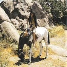 Fondly And Affectionately Horses Woman Riding Horse Beautiful Horses
