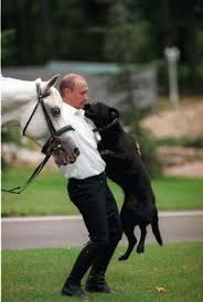 Purina pro plan company overview purina pro plan is a high volume selling dog food brand that is brought to you by one of the largest and most successful pet food companies in the entire world, purina. 72 Vladimir Putin Ideas Vladimir Putin Putin Vladimir