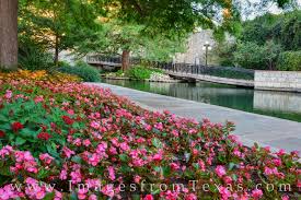 Maybe you would like to learn more about one of these? Flowers Along The Riverwalk 610 1 The Riverwalk San Antonio Texas Images From Texas