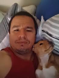 Did someone lose their dog