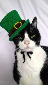 Leprecat Mao Crochet Cat Sweaters Crochet Cat Crochet Cat Hat