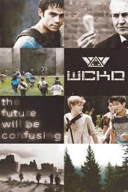 Pin En Maze Runner