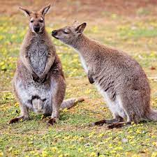 It doesn't matter what you say, if there is a unexpected scream that cuts off at the end it going to be funny. Ask Polly I Can T Get Over My Married Lover