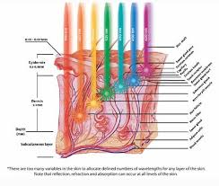 Led Light Therapy And Skin Layers Google Search Led Light Therapy Light Therapy Red Light Therapy