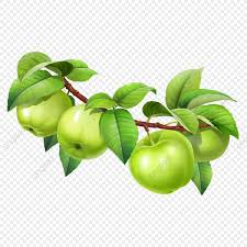 Apple On A Branch With Leaves Vegetarian Tree Vegetable Png Transparent Clipart Image And Psd File Apple Spring Flowers Background Autumn Leaves Background