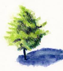 Coloring is a very useful hobby for kids. Drawing Tree Drawing With Color Pencil
