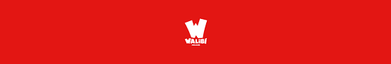 You can modify, copy and distribute the vectors on walibi logo in iconspng.com. Walibi Holland Youtube Channel Analytics And Report Powered By Noxinfluencer Mobile