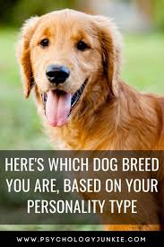 Here S The Dog Breed You Are Based On Your Personality Type Mbti Myersbriggs Personalitytype Infj Intj Infp In Dogs Dog Personality Personality Types