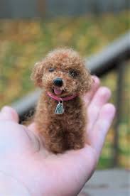 The breed is very intelligent, trains easily, and is devoted to his family. Needle Felted Dog Toy Poodle Red Brown Black Wool Poodle Etsy