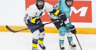 Team Scotiabank Defeats Team Sonnet To Wrap Up Pwhpa Dream Gap Tour'S Ohl  Showcase | Cbc Sports