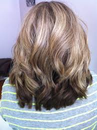 Highlight Lowlight Using Bleach And Redken Shades Eq Cream 05wb Gray Hair Growing Out Grey Hair Color Hair Styles