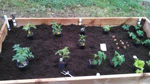 We did not find results for: Building A Diy Wicking Raised Bed Vegetable Garden Mrs Millennial