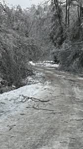 The ice storm left sections of Radnor Lake unrecognizable. The Banner’s Demetria Kalodimos got the first tour of the damage after a week of extraordinary cleanup by staff and state crews. Experts say ...