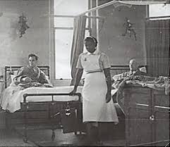 A BAUGH FROM LONG ROAD