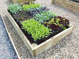 Benefits of growing vegetables in galvanized raised garden beds. Raised Vegetable Beds Premier 9in High Timber Raised Bed Kits