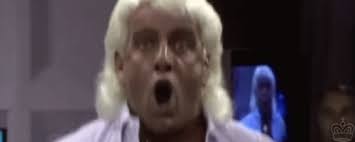 We would like to show you a description here but the site won't allow us. Ric Flair Gifs Page 2 Wifflegif