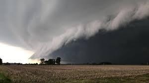 Lasalle, ontario — environment canada has confirmed a tornado with winds as high as 80 and 110 mph touched down in the windsor, ontario area wednesday night, aug. Photos Tornado Warned Storm Over Colchester Southern Essex County Windsoritedotca News Windsor Ontario S Neighbourhood Newspaper Windsoritedotca News