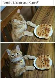 Don T Know Why I Laughed So Hard Lmao Funny Animal Memes Funny Cat Memes Funny Animal Pictures