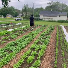 We Are Each Other's Harvest