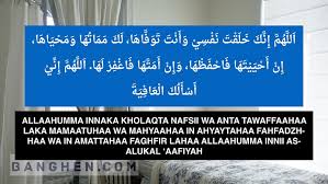 Index Of Wp Content Uploads 2017 07