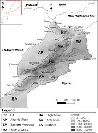 Image result for Emilia tenellula