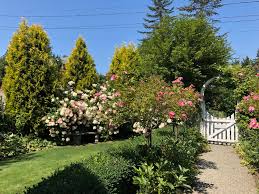Online books, biographies, a directory of designers, a glossary, a product finder, and earticles and ebooks on the history, theory and design methods of these professions). A Visit To Fishtail Cottage Seattle S Favorite Garden Store Since 1924 Swansons Nursery
