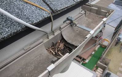 つまりの原因となる雨樋内部の落ち葉やゴミ（AI 生成）