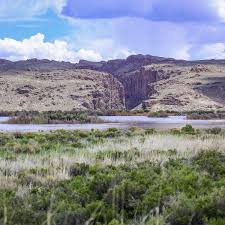 Image result for Little Catnip Spring - Sheldon Refuge Winnemucca NV