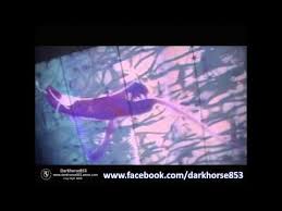 Vivid Sydney 2015 02 Aquarium Chatswood Vivid Sydney Aquarium