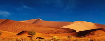 You can enjoy them as soon as you make them, or you can chill them in the fridge for a cooler dessert. Top 5 Deserts Of The World On The Go Tours Blog