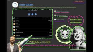 pitbull token nasil alinir pit pitbull coin nasil alinir detayli anlatim youtube