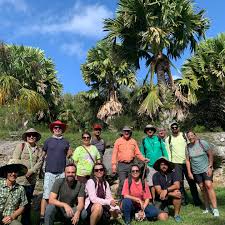 Image result for Synsepalum muelleri