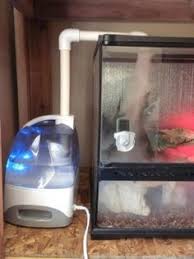 Diy Reptile Fogger Clubfauna Diy Reptile Reptile Terrarium Reptile Room