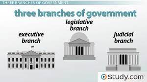 The 3 Branches Of Government Executive Legislative Judicial Video Lesson Transcript Study Com