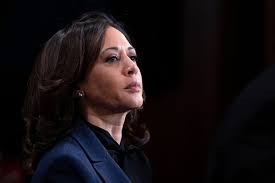 Kamala harris just made history by becoming the first female vice president of the united states! The Pros And Cons Of Kamala Harris As Joe Biden S Vp