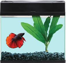 Better deals, better service and better value on tv's, fridges, washing machines, air con and much more. Blue Planet Betta Aquarium 8l