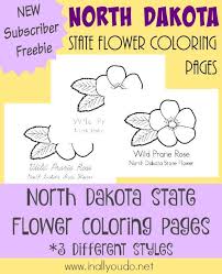 Cartoon clipart an outlined happy north dakota state character. Across The Usa In 31 Days North Dakota In All You Do