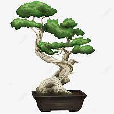 Potted Bonsai Tree Tree Trimmed Clipped Png Transparent Clipart Image And Psd File For Free Download In 2021 Bonsai Tree Bonsai Tree Clipart