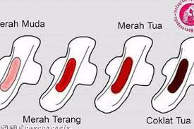 Faktanya, ada beberapa calon ibu yang cukup lama tidak tahu bahwa mereka disamping itu, terlalu banyak menurunkan atau menaikkan berat badan juga bisa menjadi penyebab darah haid sedikit. Perdarahan Karena Menstruasi Atau Positif Hamil Ini Perbedaannya Moms Semua Halaman Nakita