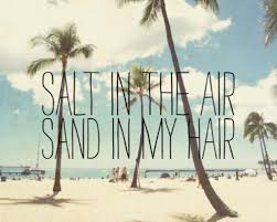 Funny Summer Quotes And Sayings. QuotesGram via Relatably.com