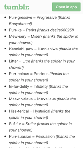 The internet loves cats, and it loves stupid humor. Everything Miraculous Ladybug Cat Puns List Wattpad