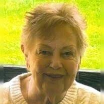 Carol Nancy Southard Obituary (2024)