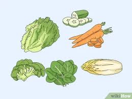 Most lovebirds are usually fed a diet that consists of seeds. 3 Ways To Feed Lovebirds Wikihow