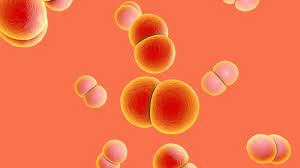 What Is the Clap? Everything to Know About Gonorrhea | SELF