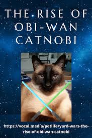 Star Wars The Rise Of Obi Wan Catnobi In 2020 Obi Wan War Obi