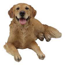 Large Lifelike Charlie The Chocolate Golden Retriever Panting Statue 23 25 Long Walmart Com Walmart Com